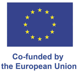 Co-funded by the European Union